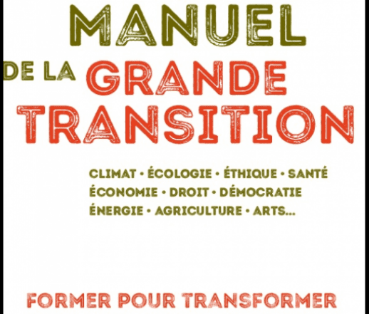 Manuel de la grande transition - Gael Giraud