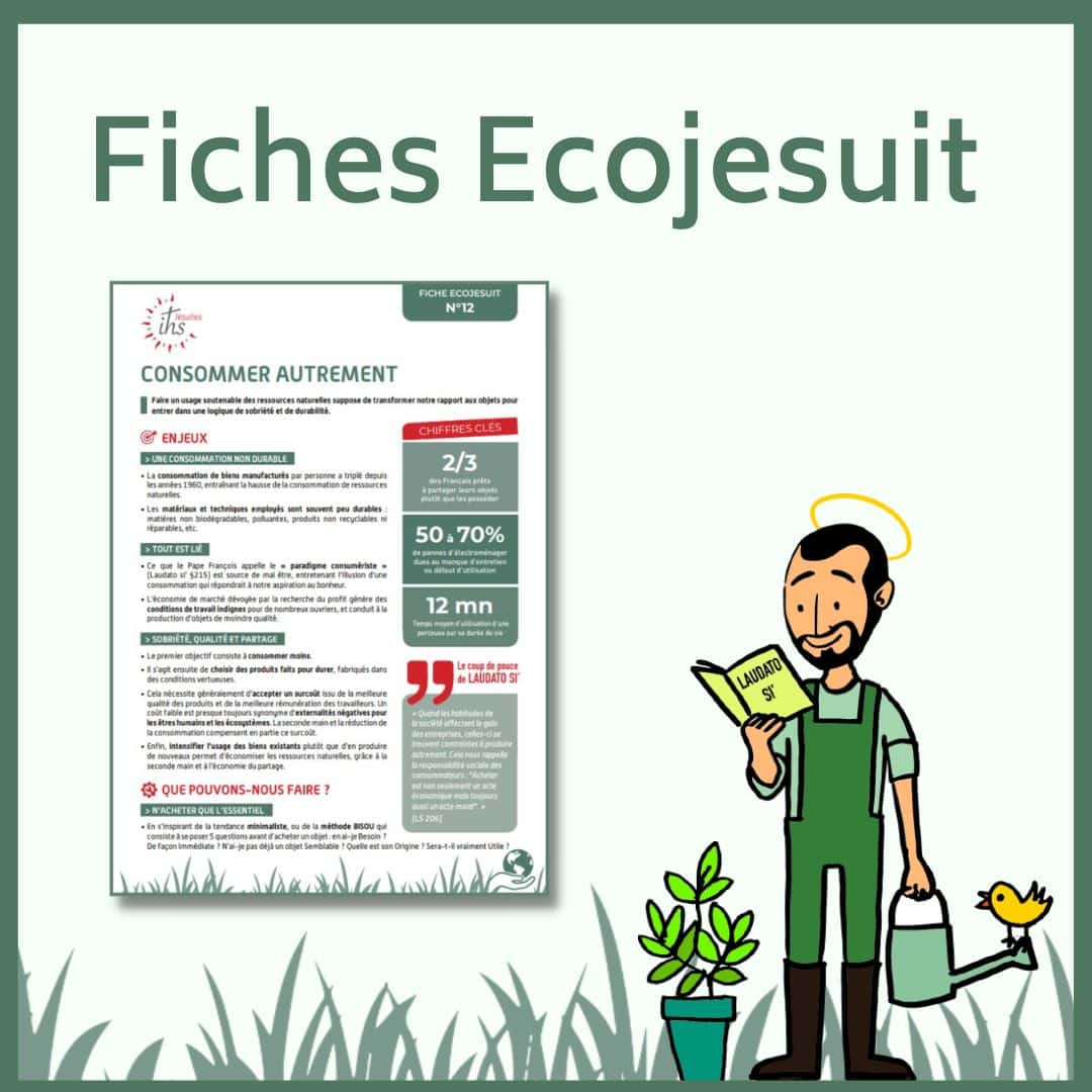 carre de presentation des fiches ecojesuit