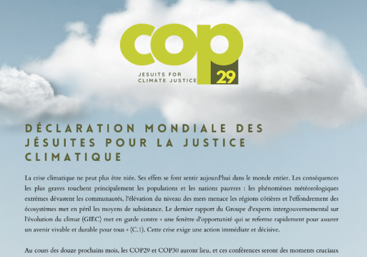 cop29 dossier 2